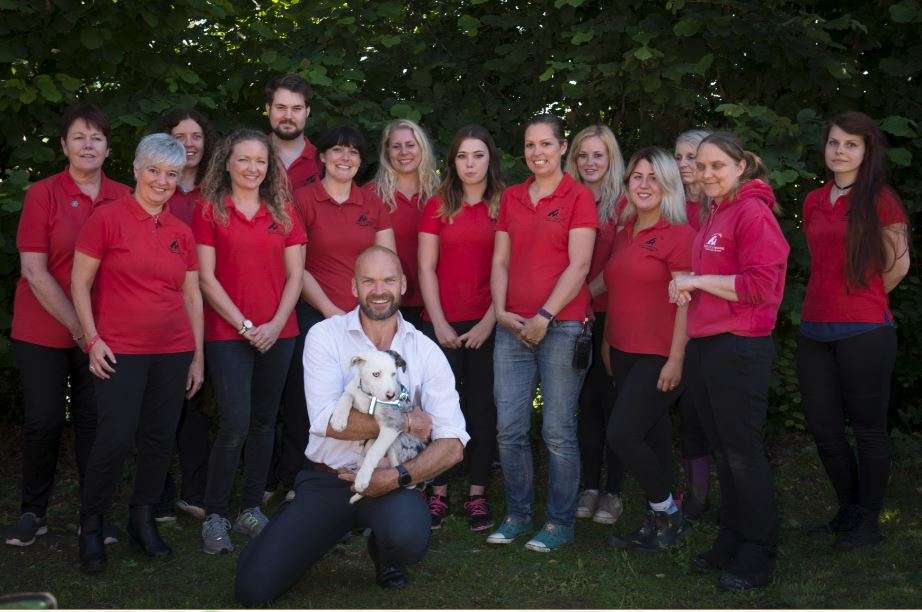 animal-care-assistants-holly-hedge-animal-sanctuary