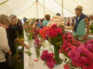 Frenchay Flower Show 2022 @ Frenchay Flower Show | Winterbourne | England | United Kingdom